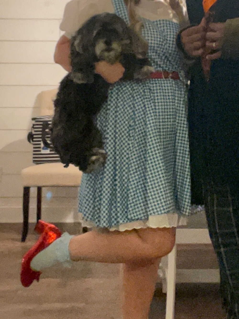 Blue Gingham Dress with Red Shoes